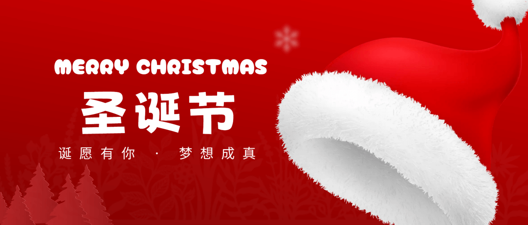 祝您節(jié)日快樂(lè)！Merry Christmas！